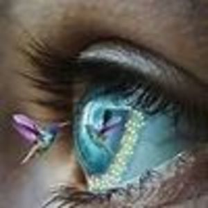 Meet your Posher, Diane